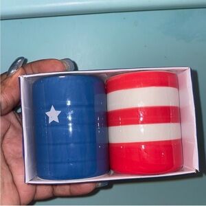 Patriotic Blue and Red Striped Salt & Pepper shaker